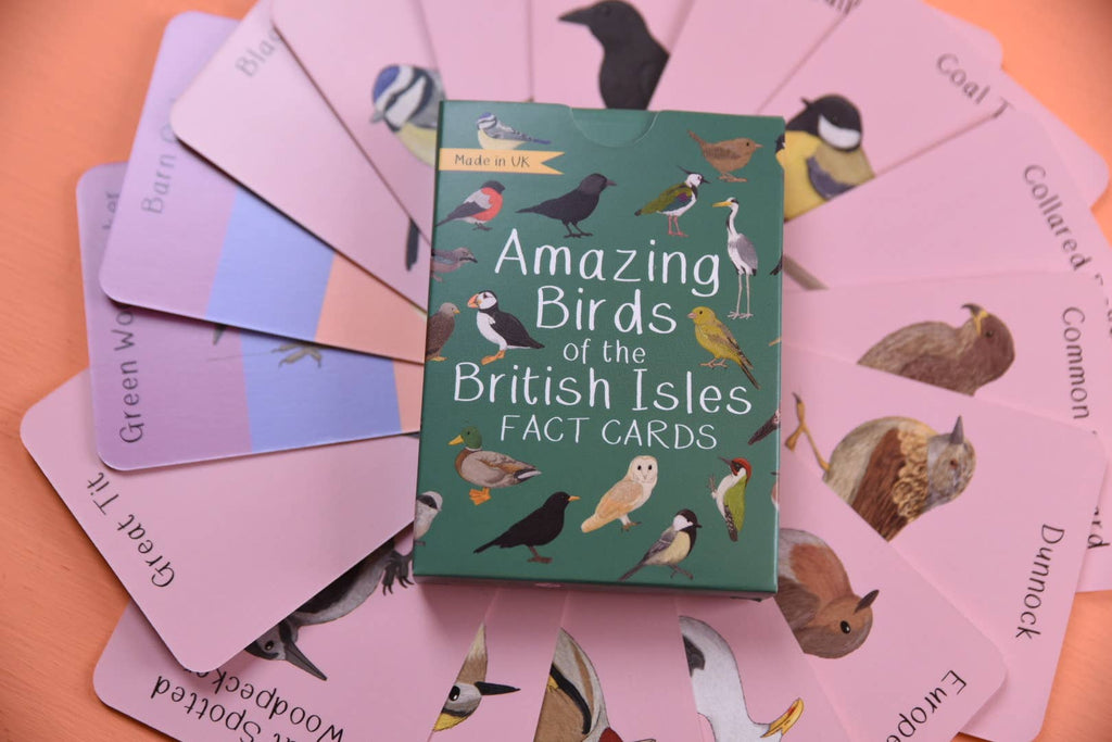 Box of 'Amazing Birds of the British Isles Fact Cards' surrounded by cards with bird illustrations on a pink surface.