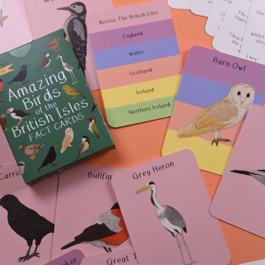 Open box of amazing birds of the british isles fact cards