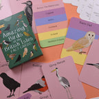 Open box of amazing birds of the british isles fact cards