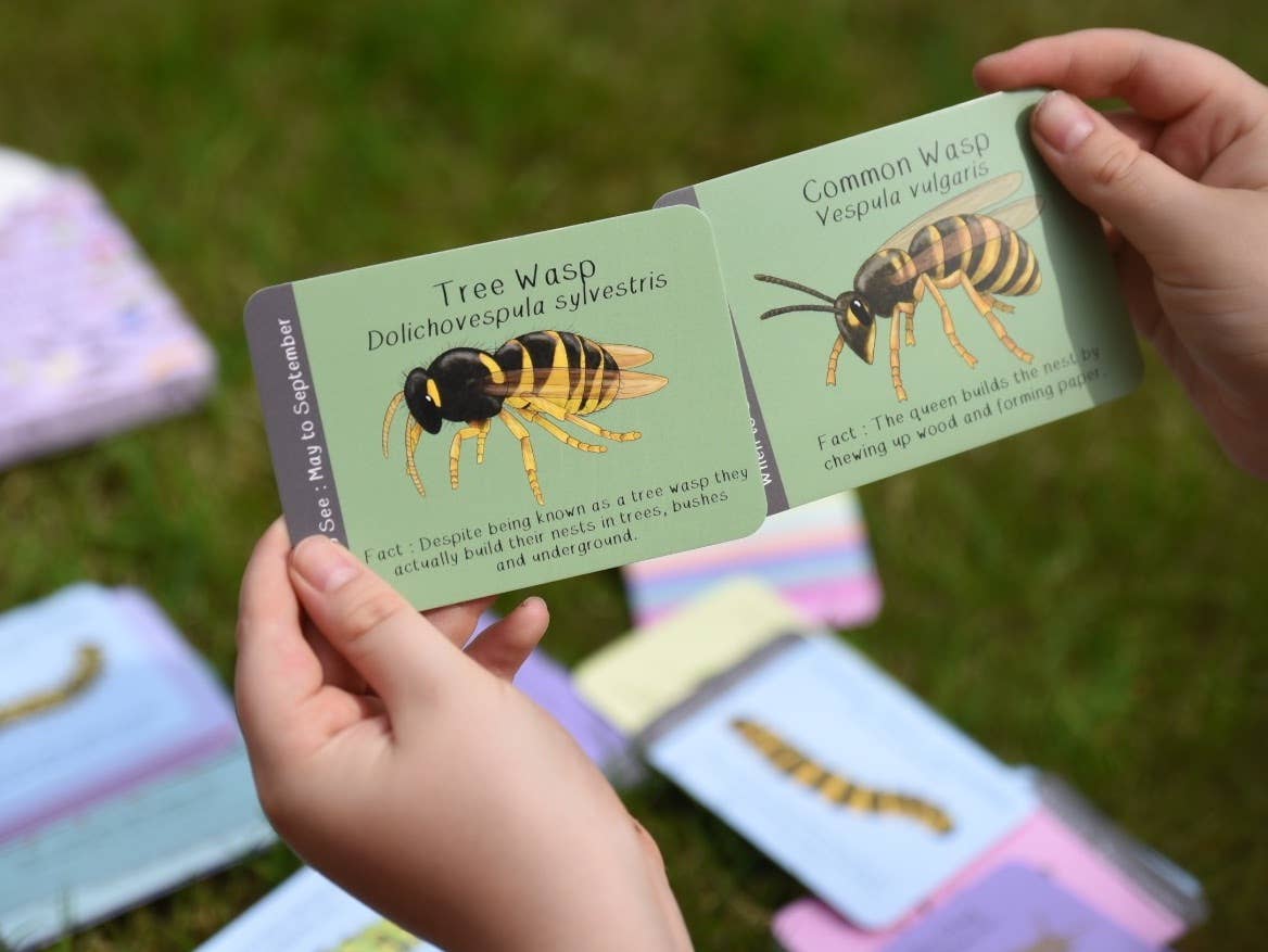 Two hands holding educational cards about tree wasps and common wasps with illustrations on a grassy background.