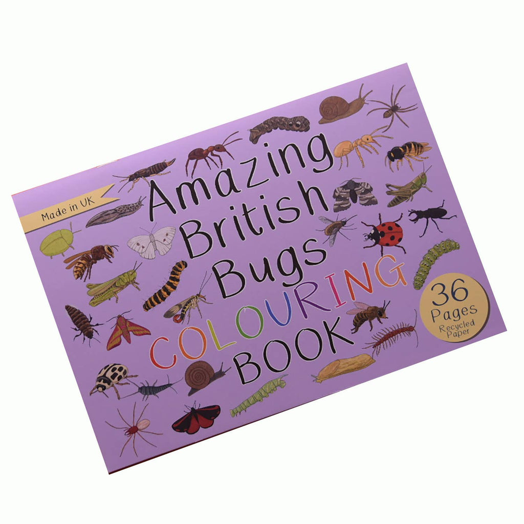 Purple coloring book titled 'Amazing British Bugs' with illustrations of bugs on a white background