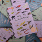 Children's activity book titled 'Amazing British Bugs' on a colorful background