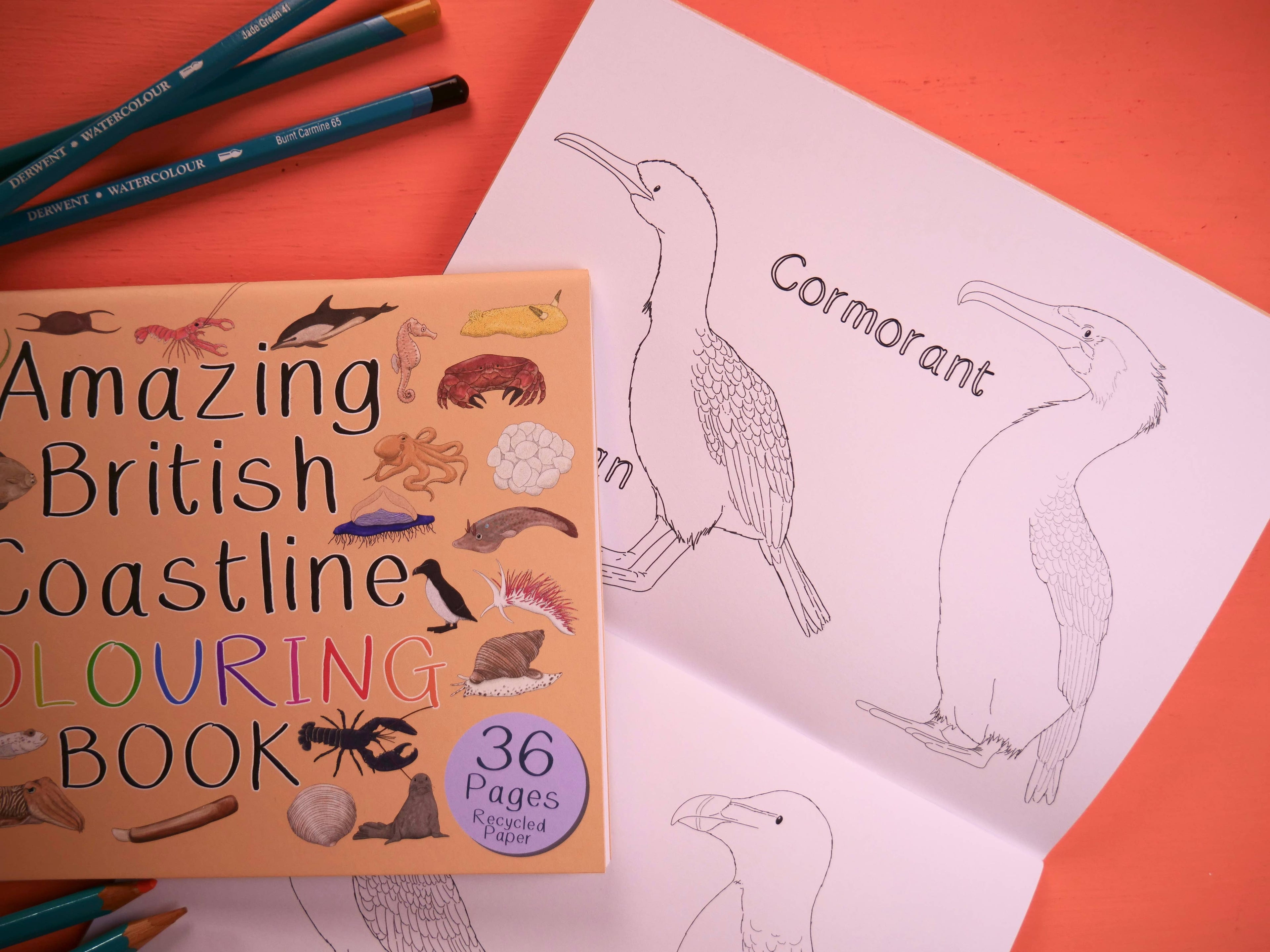 A book entitled Amazing British Coastline Colouring Book on top white pages with a bird drawing.