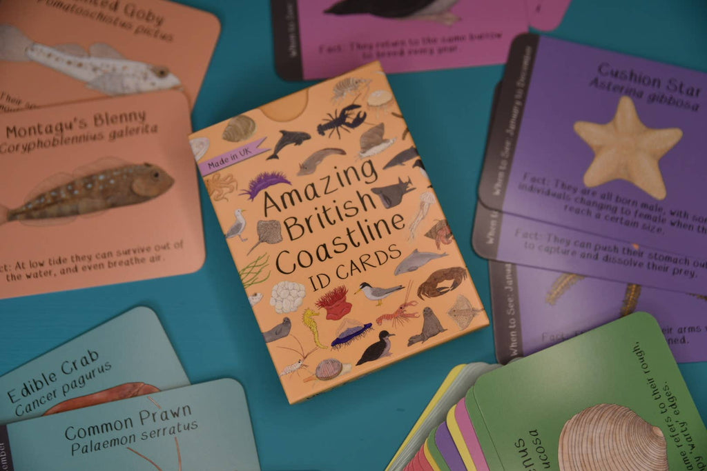 Collection of educational cards with various animals and text on a blue background