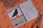 Coloring book with blackbird illustration and colored pencils on an orange background