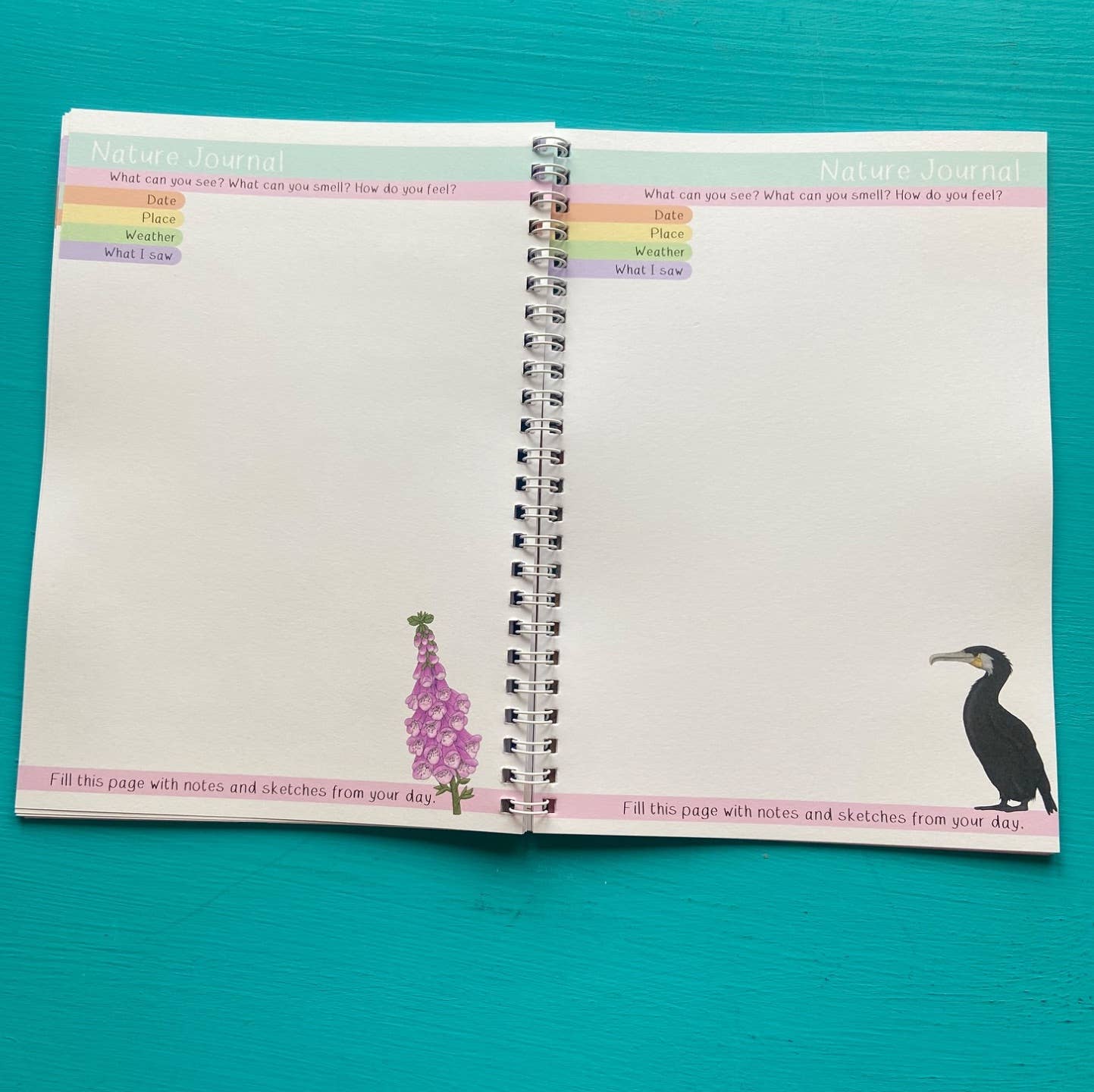 Open nature journal with illustrations of a flower and a bird on a teal background
