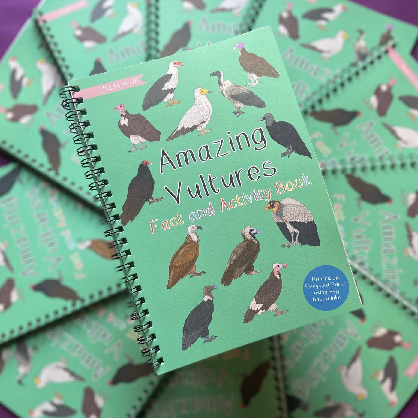 Children's book titled 'Amazing Vultures Fact and Activity Book' with vulture illustrations on a green background.