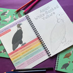 Coloring book with illustrations of an Asian White-Backed Vulture on a purple background