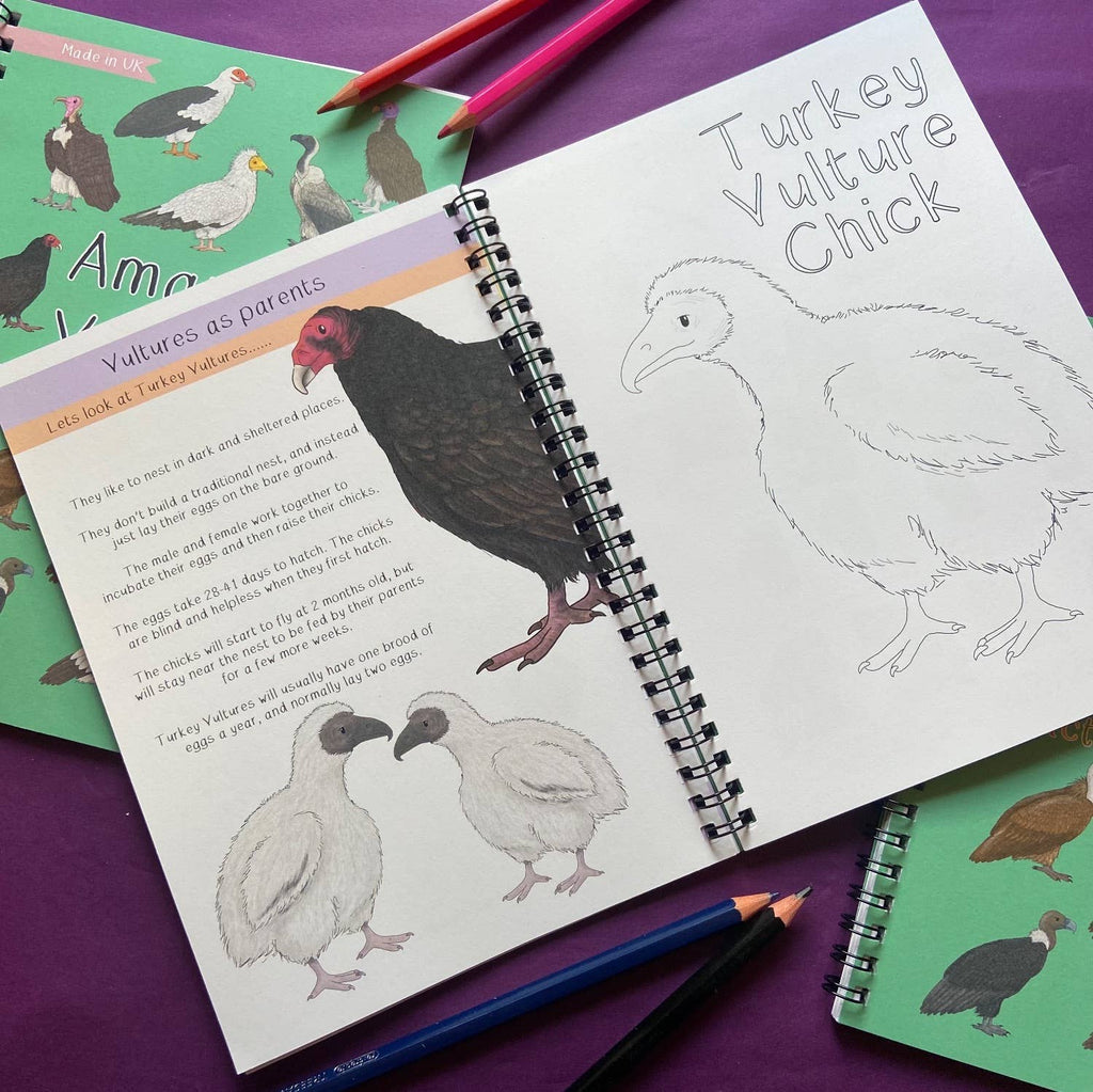 Coloring book with illustrations of turkeys and vultures on a purple surface.