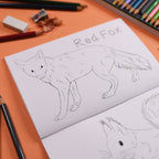 Oen animal colouring book, with fox illustration