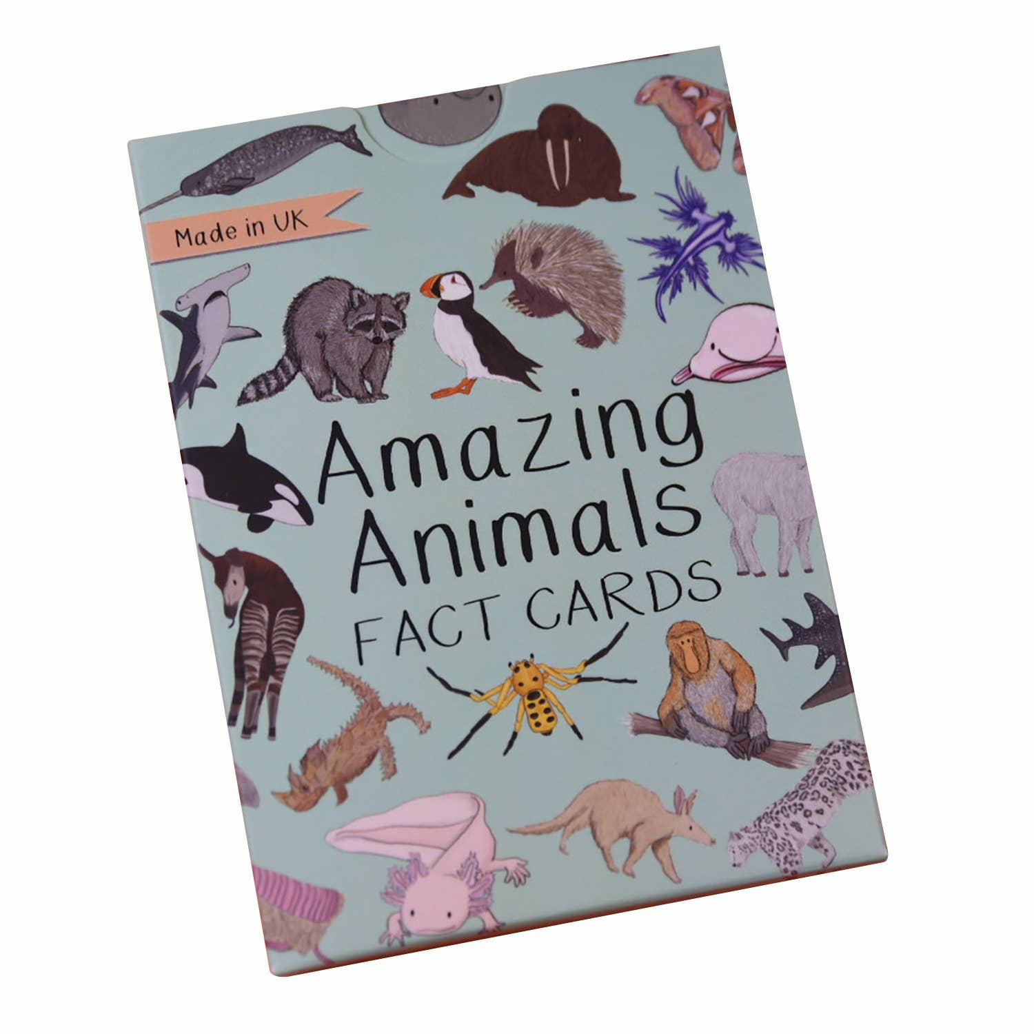 Book titled 'Amazing Animals Fact Cards' with illustrations of various animals on a light blue background.