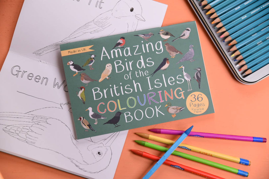 Birds of the British Isles coloring book with colored pencils on an orange surface