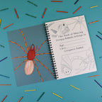 Coloring book with spider illustration on a blue background with colored pencils.
