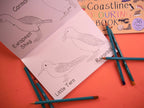 Coloring book with bird illustrations and coloring pencils on a red surface