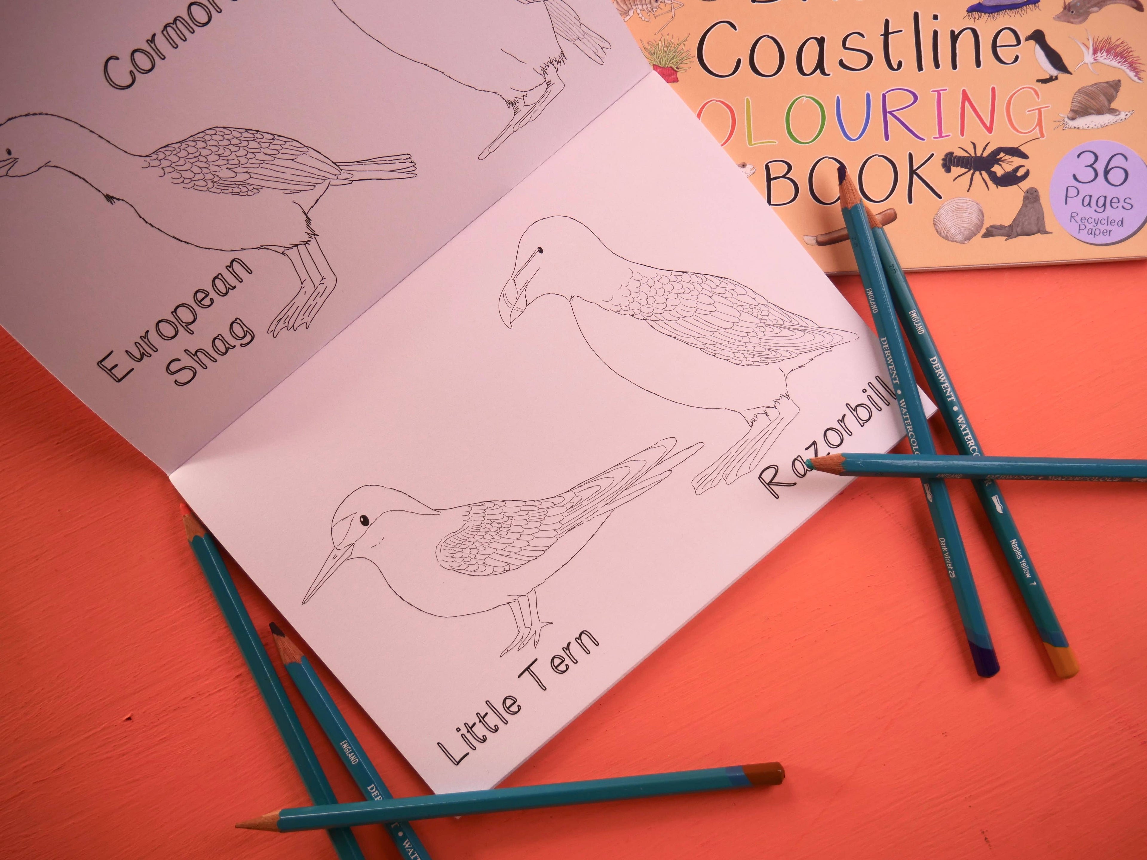 Coloring book with bird illustrations and coloring pencils on a red surface