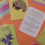 Educational cards with animal illustrations and facts on a colorful surface