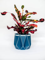 Self-watering POTR 15cm | Navy