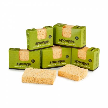 Compostable UK Car Sponge
