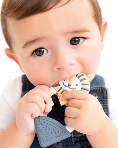 Bertie lion teething toy