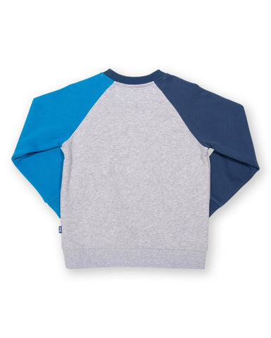 Grey jumper with a rocket on the front, sleeves are two different blues.